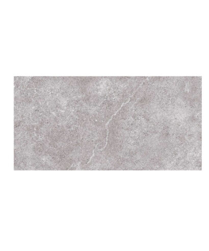ARLES GRIS 30X60