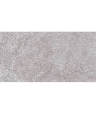 ARLES GRIS 60X120