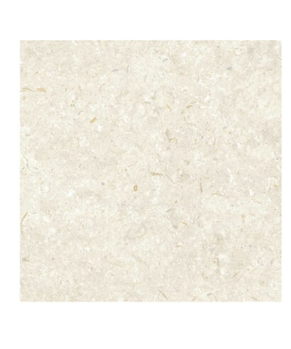 FOSIL BONE 60X60