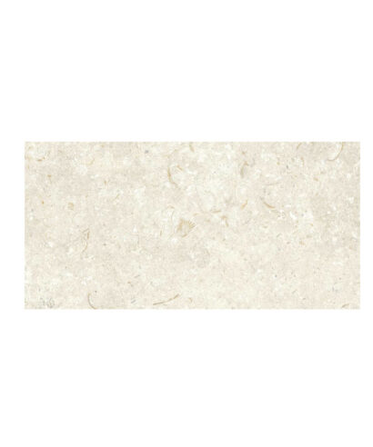 FOSIL BONE 30X60