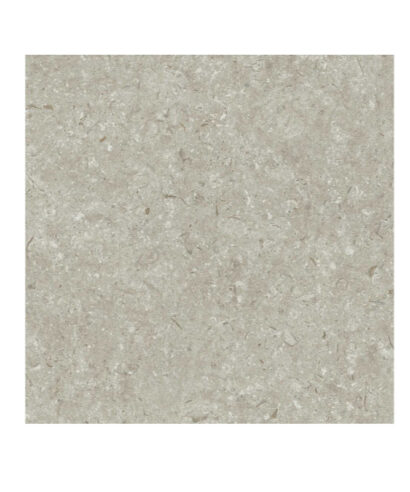 FOSIL GRIS 60X60