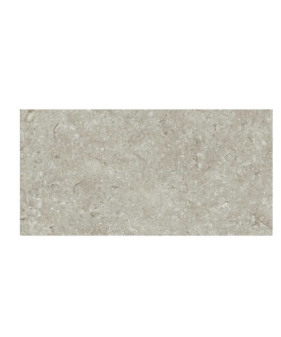 FOSIL GRIS 30X60