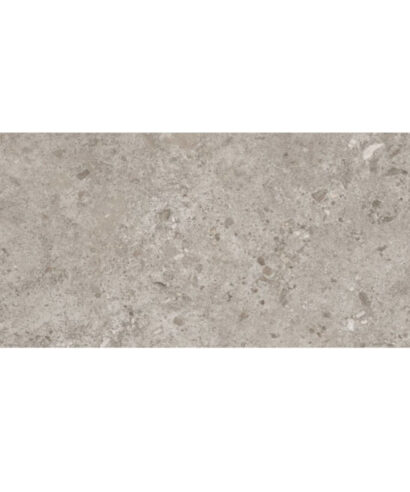 BIERZO GRIS 60X120