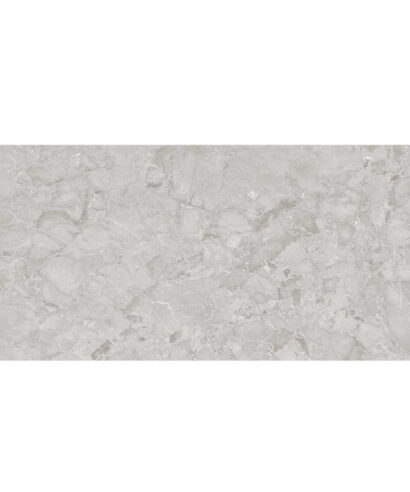 ARACRUZ GRIS 60X120