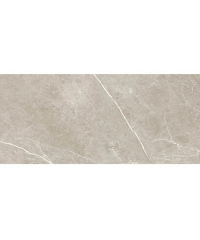 Nival Gris Mate 60X120