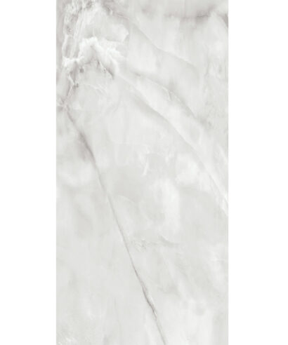 Potomac Gris Pulido 60 x 120
