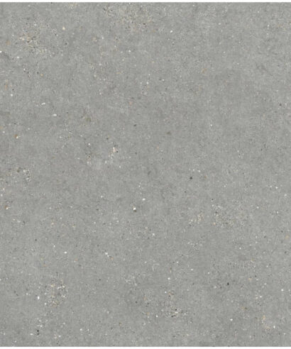 MITICA 10MM GRIS 120X120
