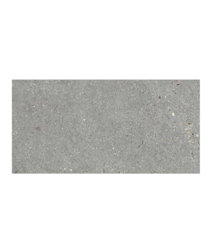 MITICA 10MM GRIS 30X60
