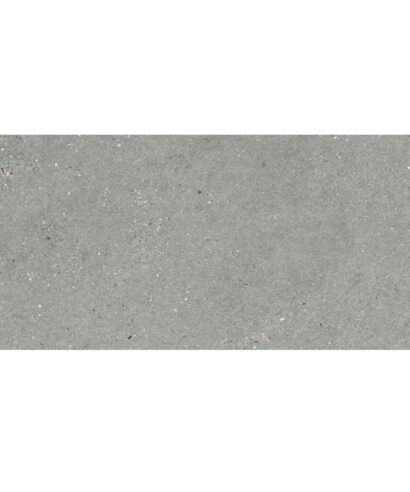 MITICA 10MM GRIS 60X120