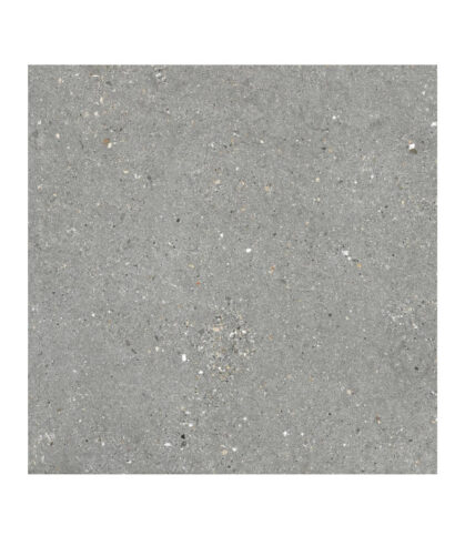 MITICA 10MM GRIS 60X60
