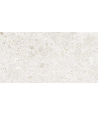 BIERZO PERLA 60X120